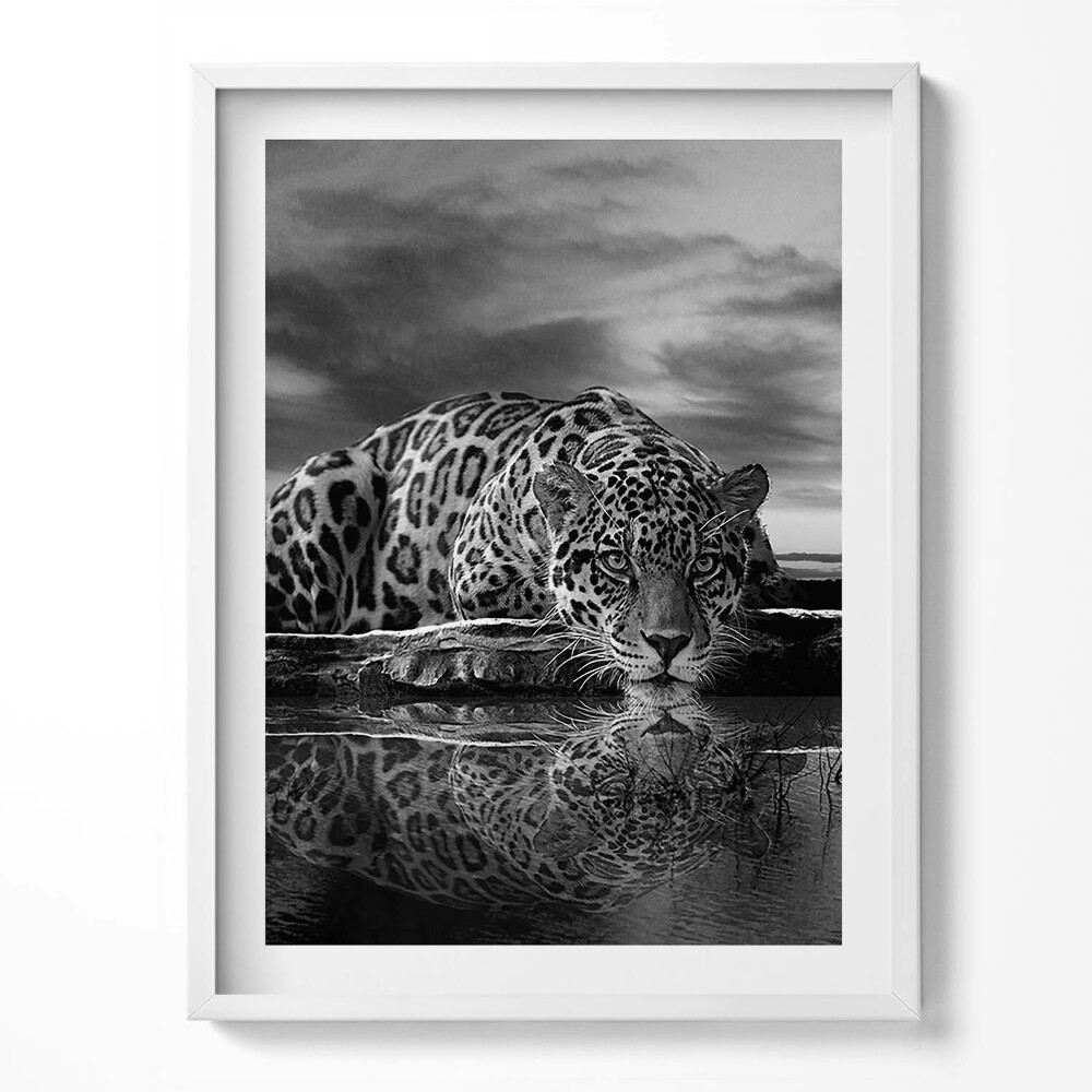 Tablou rama Leopard alb-negru animal sălbatic