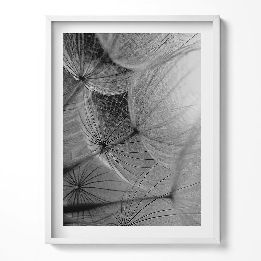 Tablou rama Prim-plan alb-negru al unei păpădii
