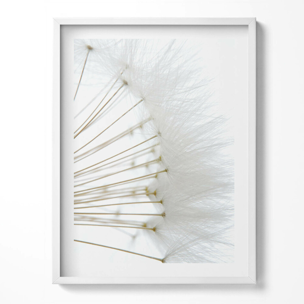 Tablou rama Păpădii albe