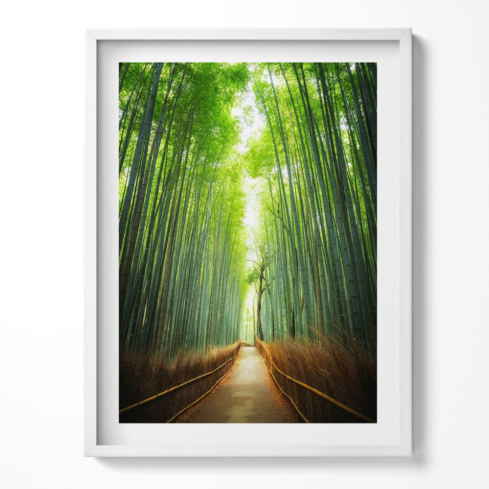 Tablou rama Pădurea de bambus Arashiyama Kyoto Japonia