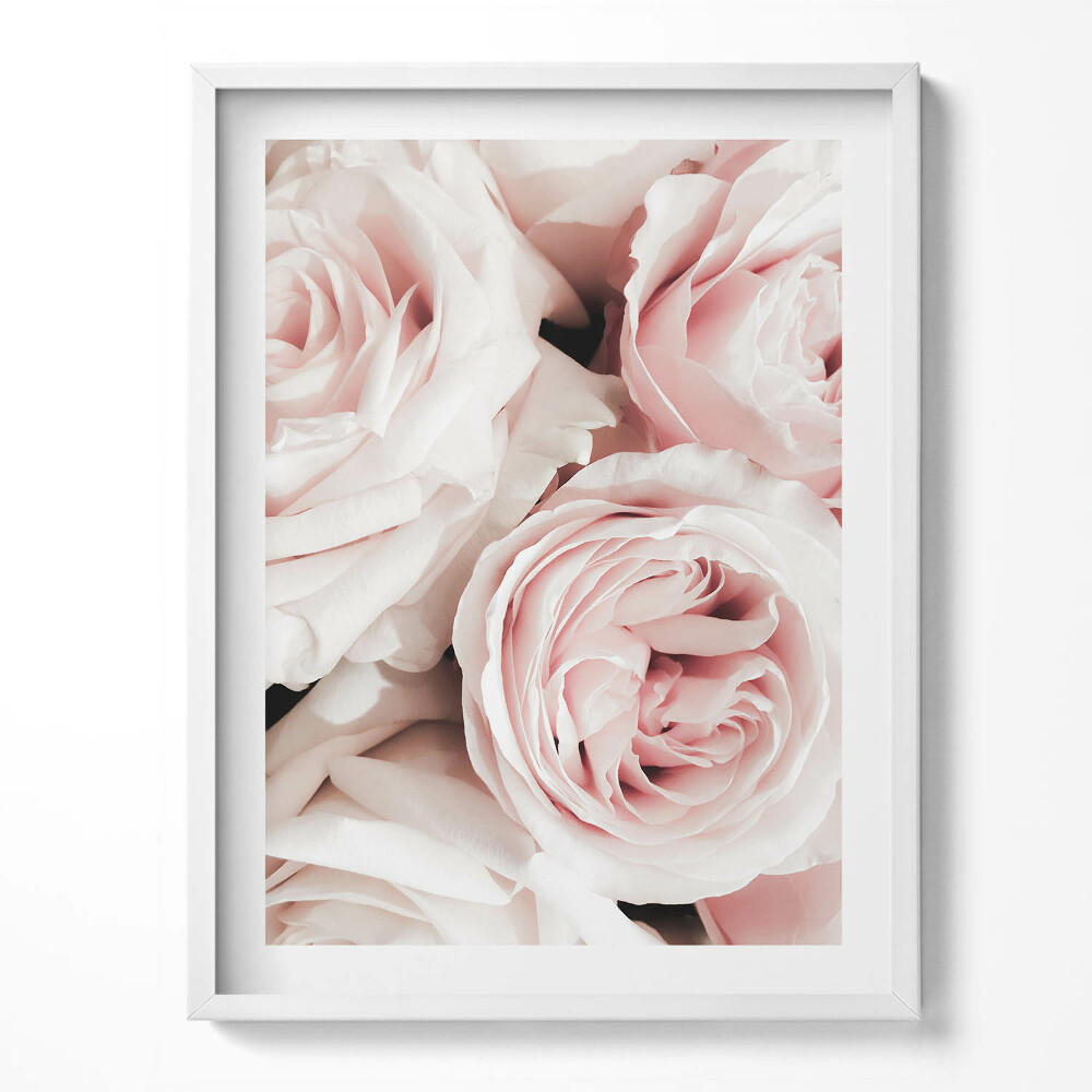 Tablou living cu rama Flori roz pal trandafiri delicati