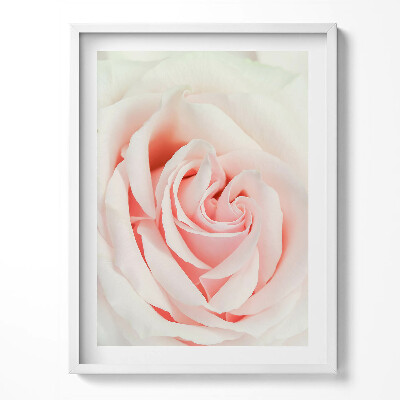 Tablou rama Prim-plan al petalelor de trandafir