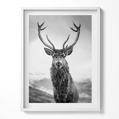 Tablou living cu rama Cerb alb-negru