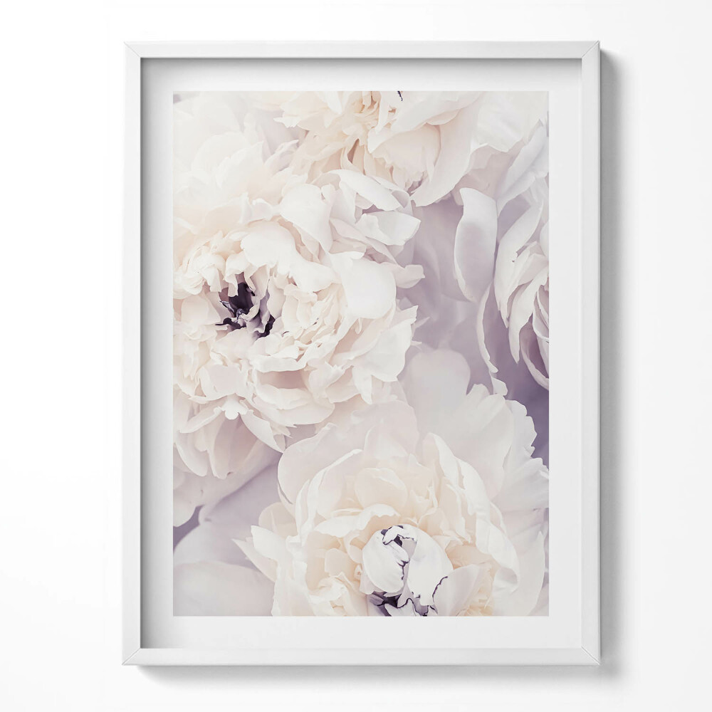 Tablou living cu rama Flori delicate de bujor