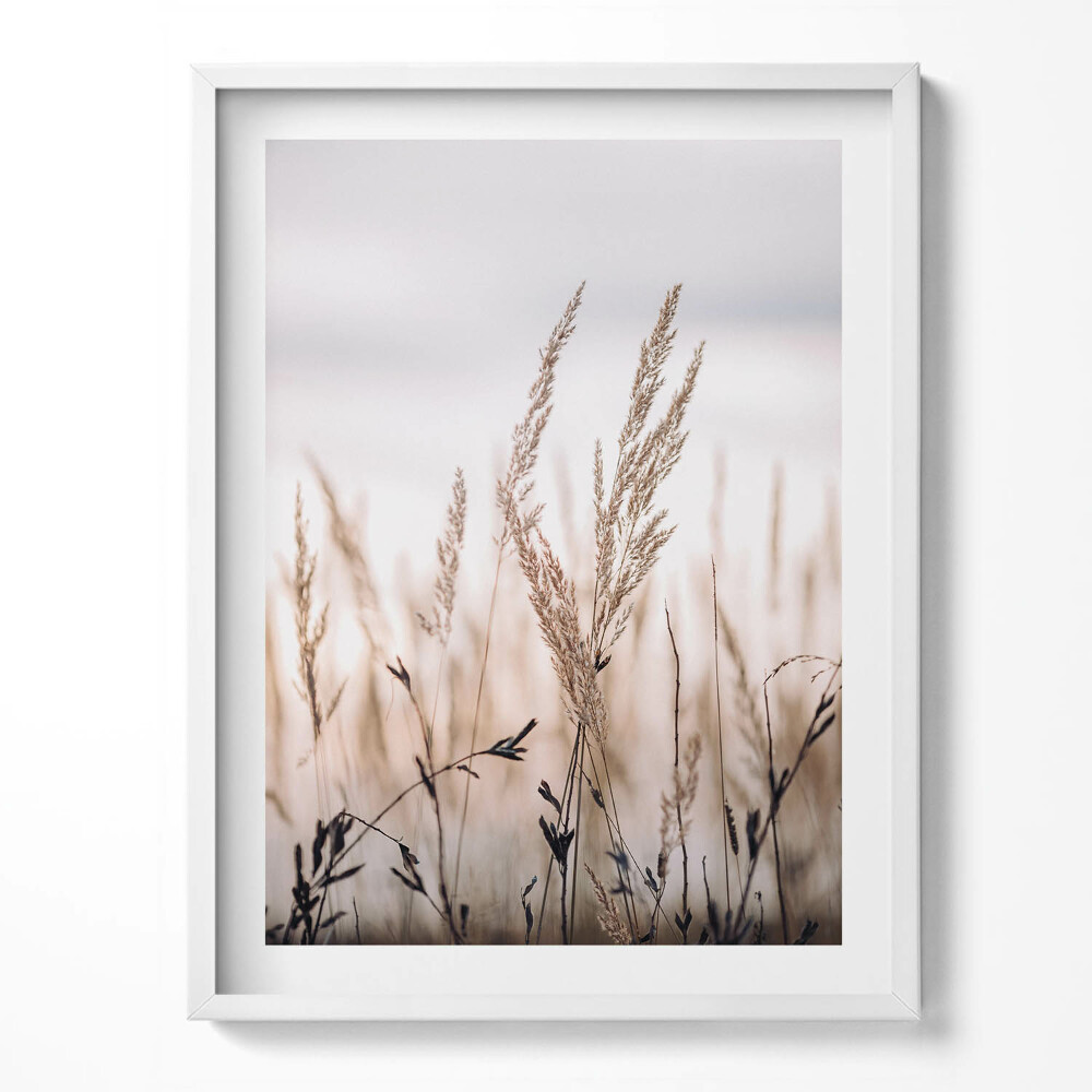 Tablou living cu rama Peisaj romantic boho cu ierburi delicate