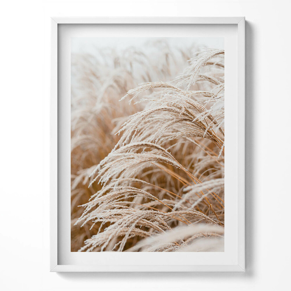 Tablou living cu rama Ierburi delicate boho