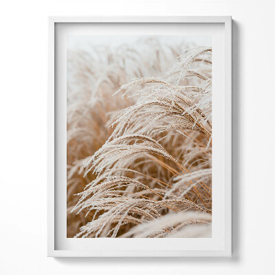 Tablou living cu rama Ierburi delicate boho