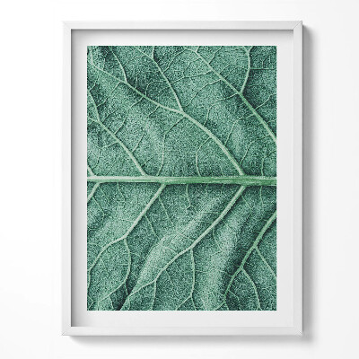 Tablou rama Prim-plan al nervurilor frunzelor