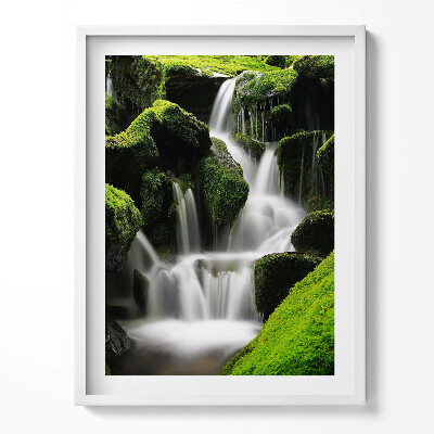 Tablou rama Cascadă sălbatică în junglă