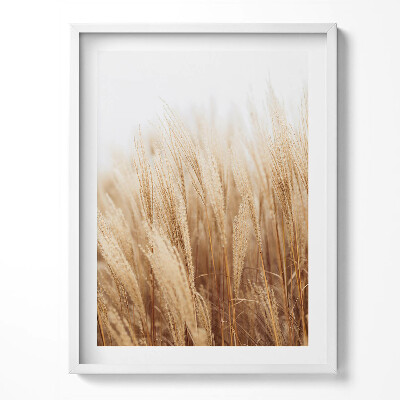 Tablou rama Un peisaj de ierburi delicate în stil boho