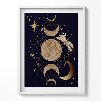 Tablou living cu rama O compoziție magică de spațiu și libelulă