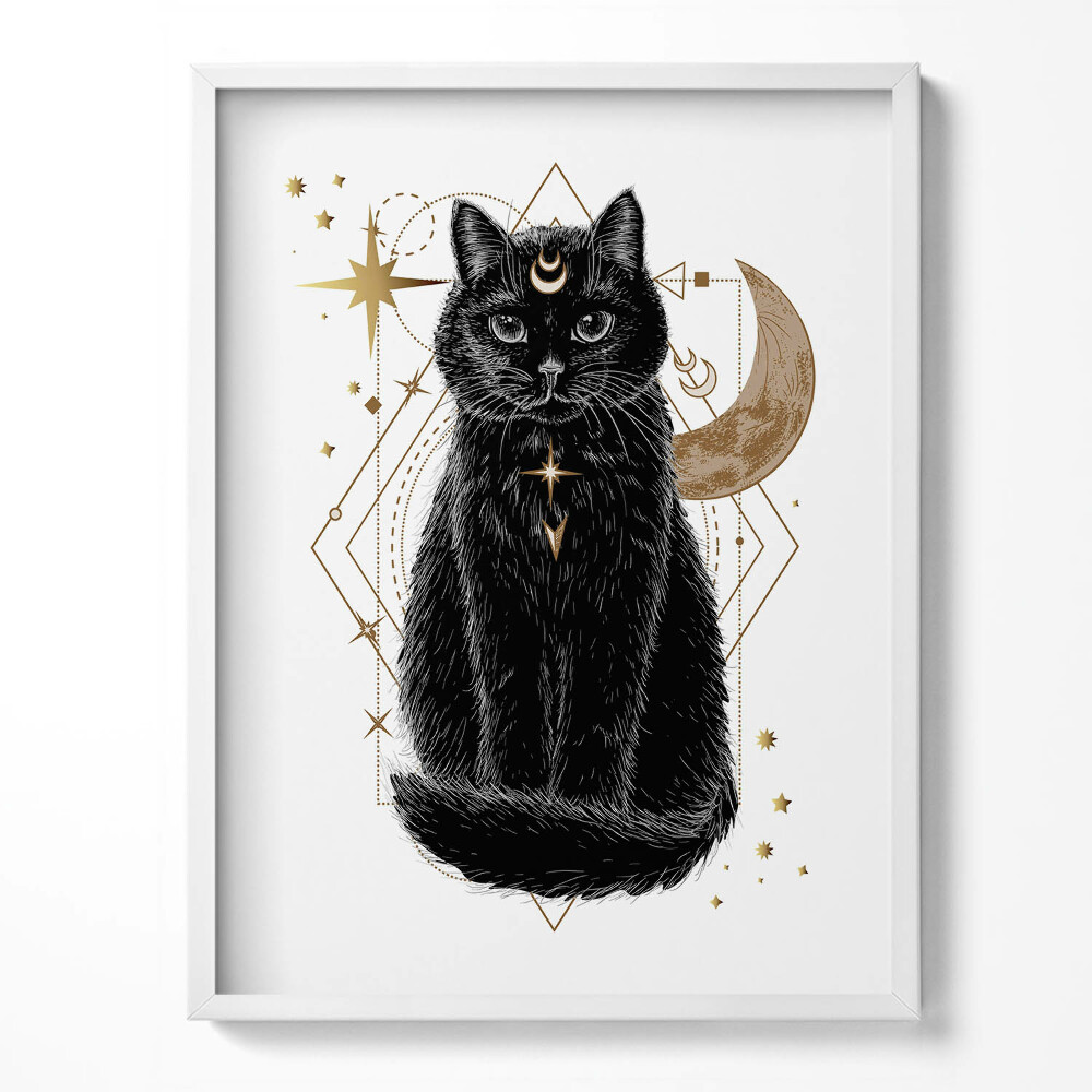 Tablou rama Pisica Neagră Magică și Spațiul