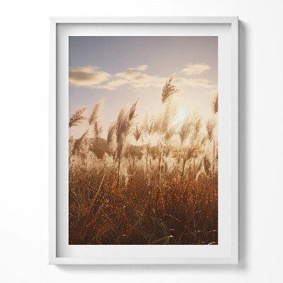 Tablou living cu rama Apus de soare romantic peste iarbă