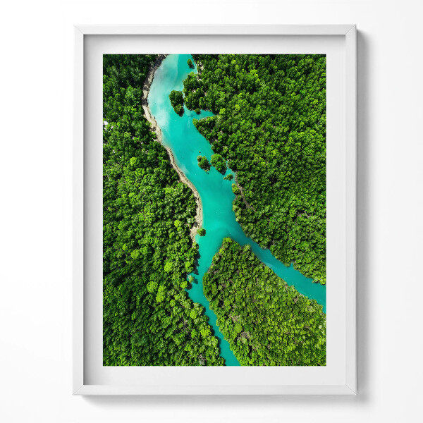 Tablou living cu rama Vedere aeriană a unui râu în pădurile tropicale