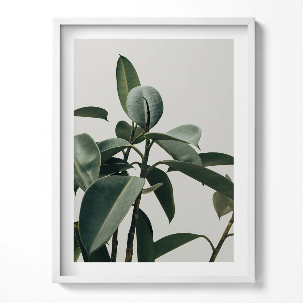 Tablou rama Stil minimalist de plantă verde