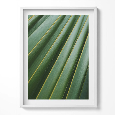 Tablou living cu rama Textură de plantă verde