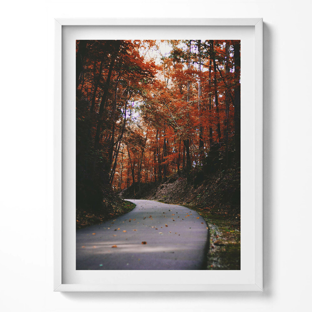 Tablou rama Drum gol în pădurea de toamnă