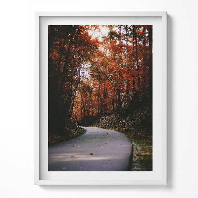 Tablou rama Drum gol în pădurea de toamnă