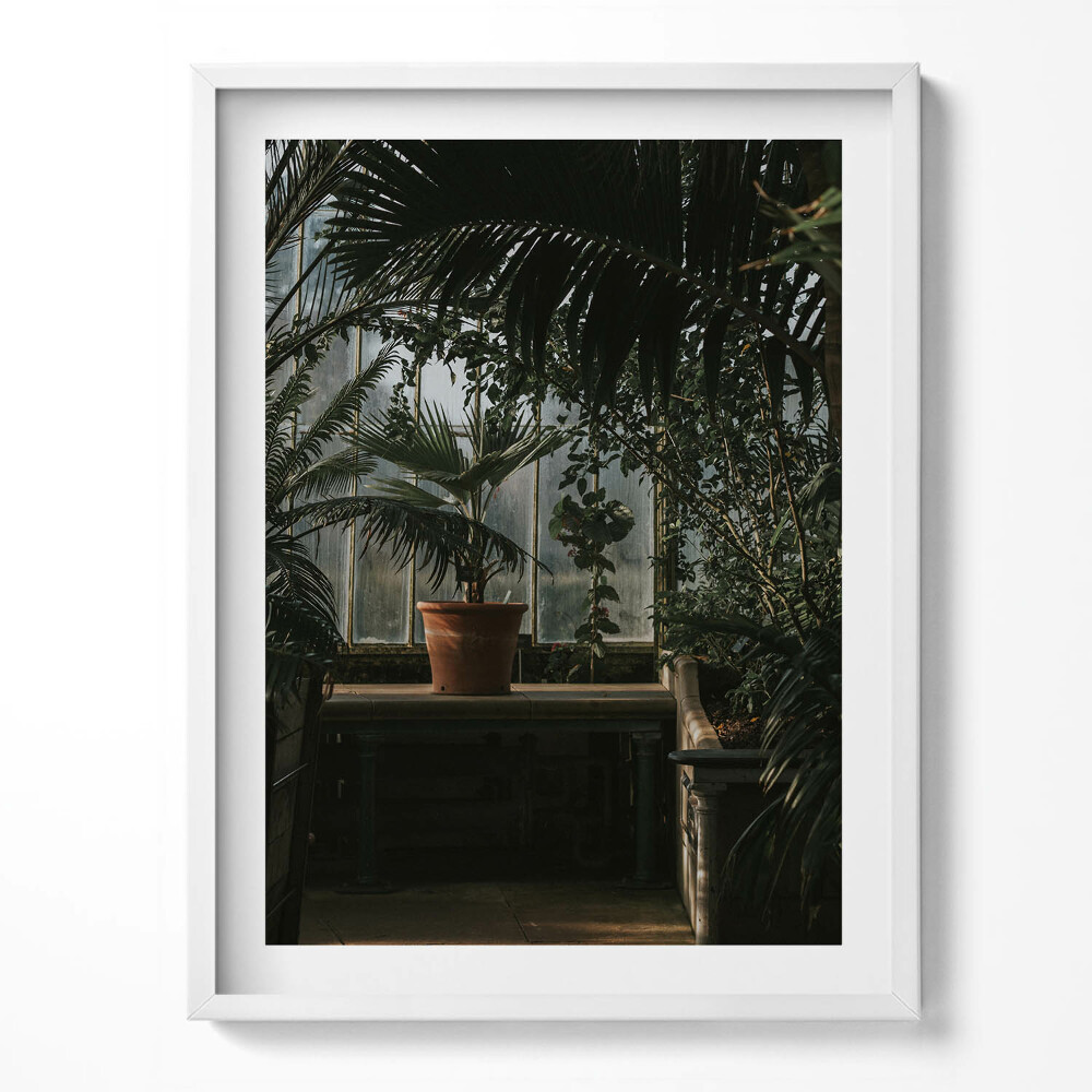 Tablou living cu rama Plante vintage pe fereastră