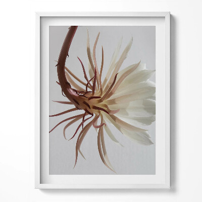 Tablou rama Plantă boho delicată