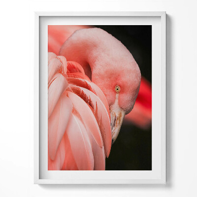 Tablou living cu rama Pasărea flamingo roz