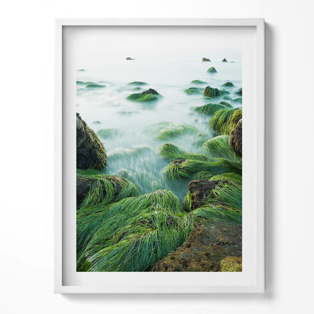 Tablou living cu rama Ierburi pe malul râului