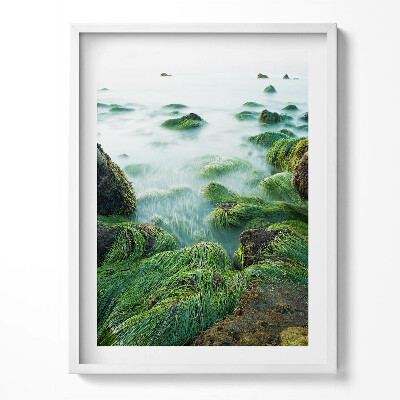 Tablou living cu rama Ierburi pe malul râului