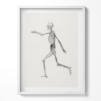 Tablou rama Un desen al unui schelet