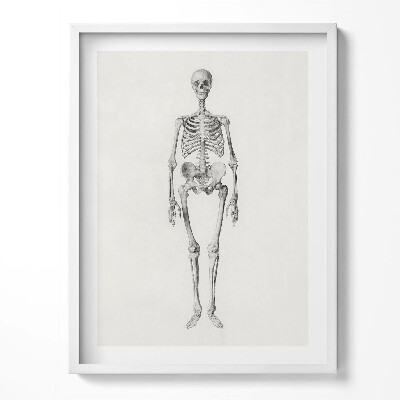 Tablou living cu rama Schiță ilustrativă a unui schelet