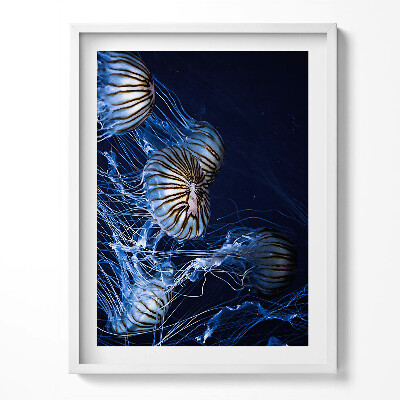 Tablou rama Meduze albastre în apă