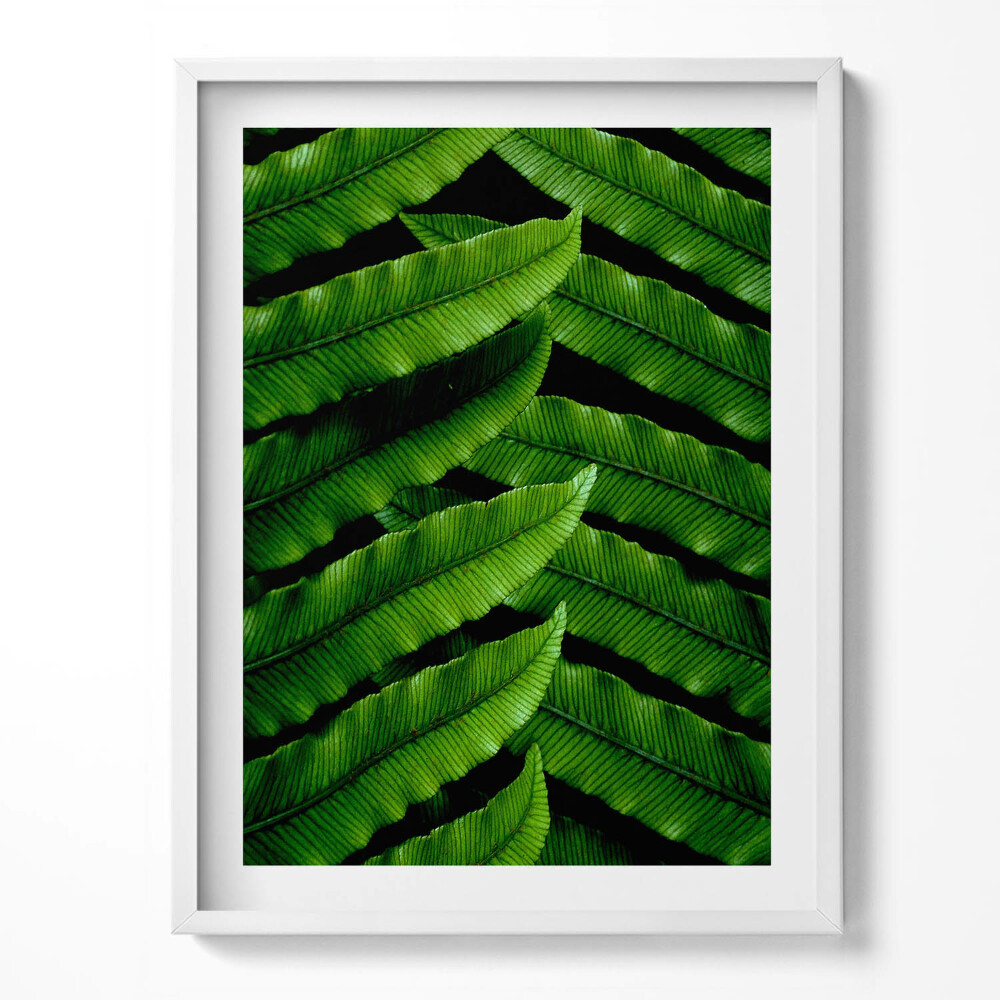 Tablou living cu rama Frunze verzi de aproape