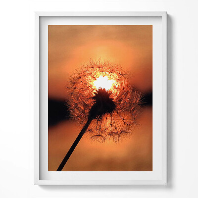 Tablou rama Păpădie la apus