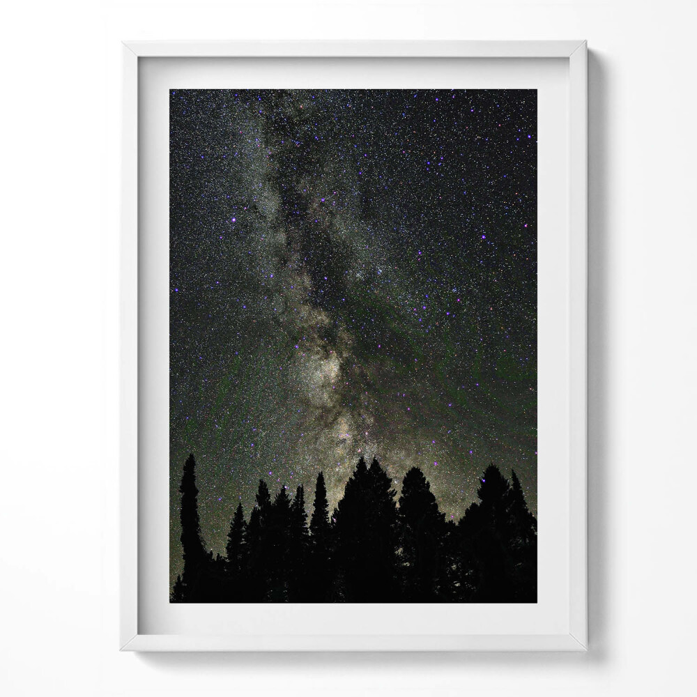 Tablou rama Cer înstelat peste pădure