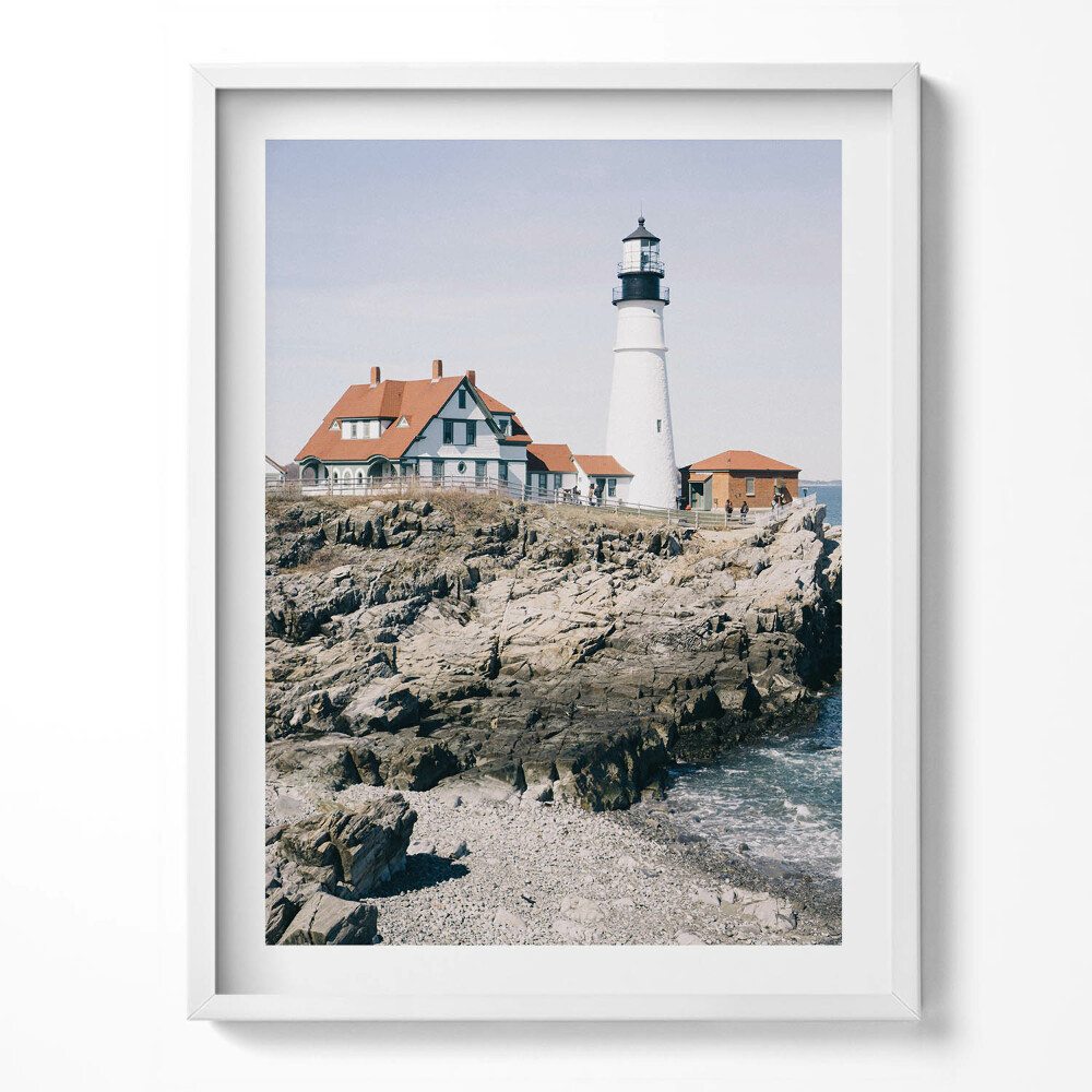 Tablou rama Ani de conifere cețoase - peisaj