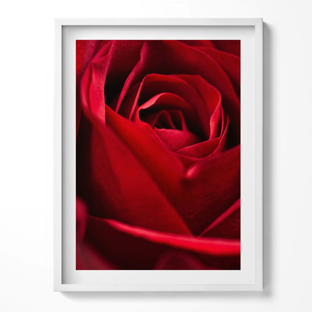 Tablou rama Prim-plan cu petale de trandafir roșii