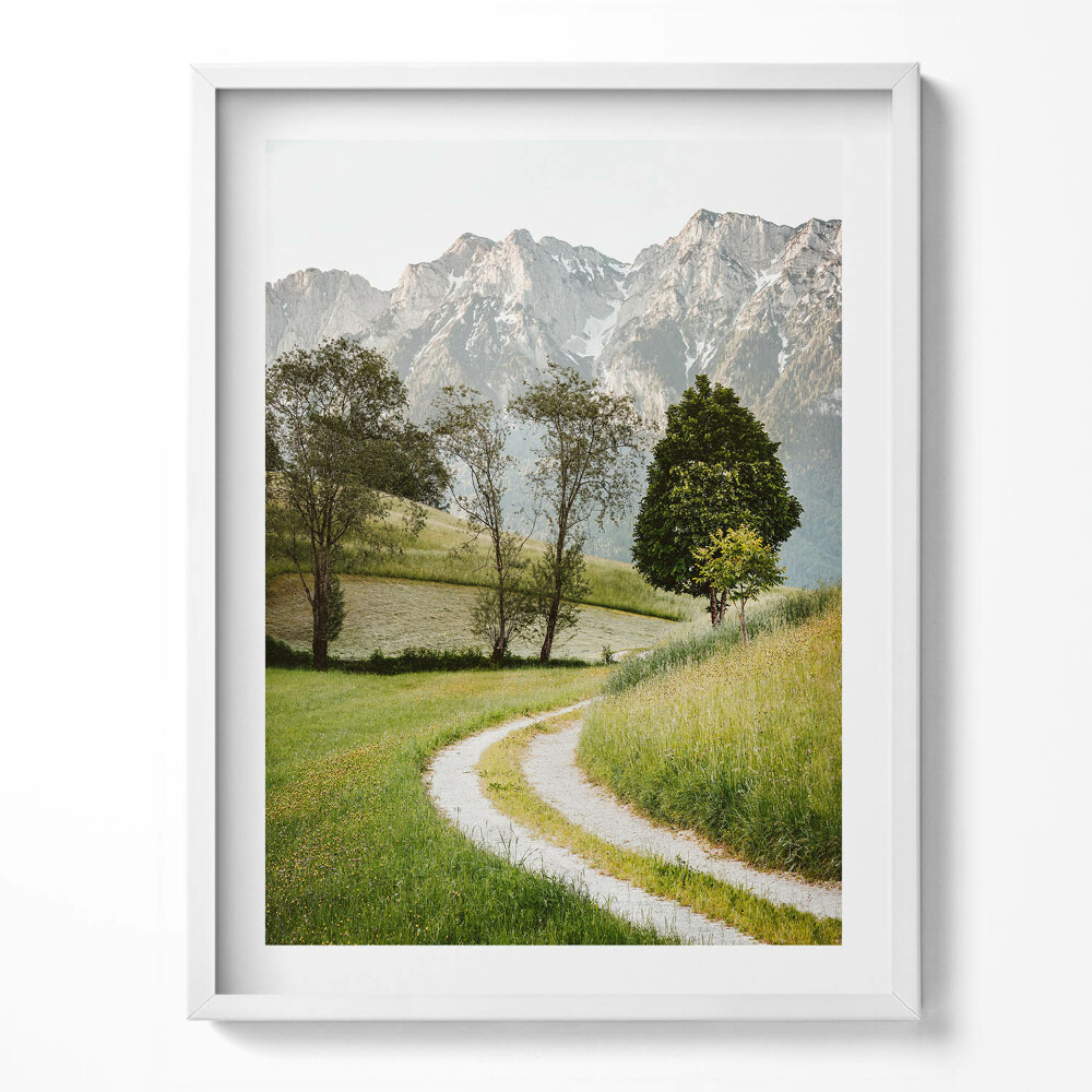 Tablou rama Un câine de câmp în munți