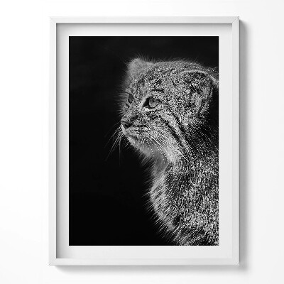 Tablou rama Lynx pisică sălbatică în alb și negru
