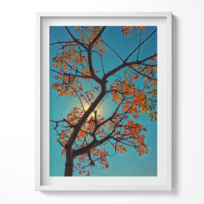Tablou living cu rama Copac și soare de toamnă