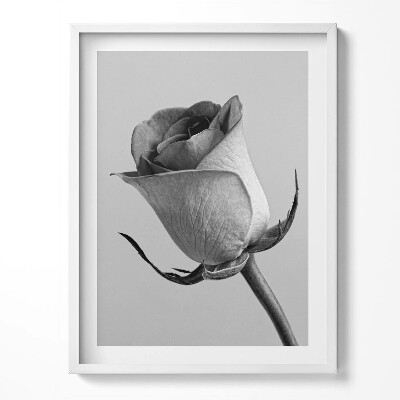 Tablou rama Floare mică de trandafir gri