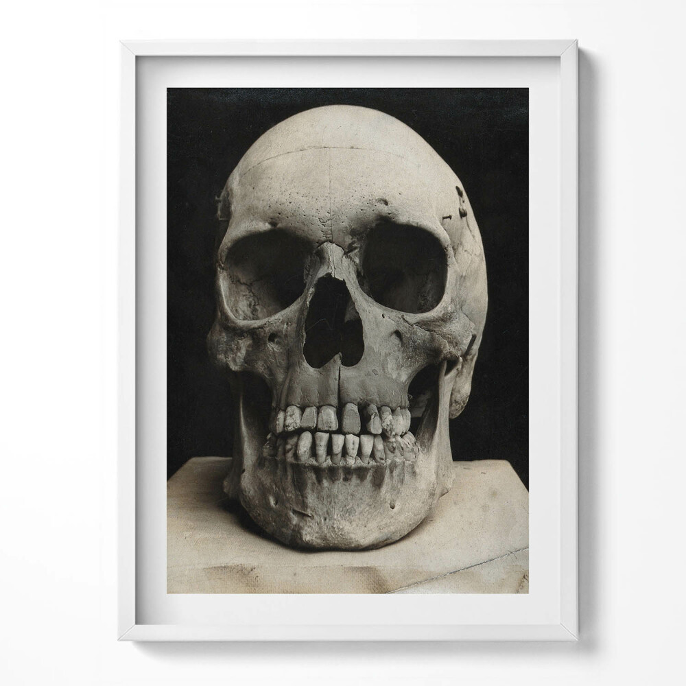 Tablou living cu rama Schelet de craniu uman