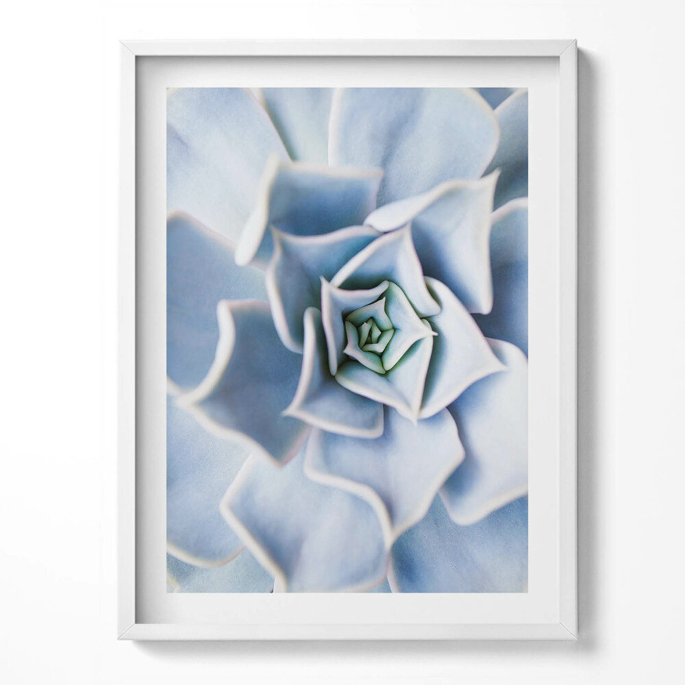 Tablou rama Floare de plantă