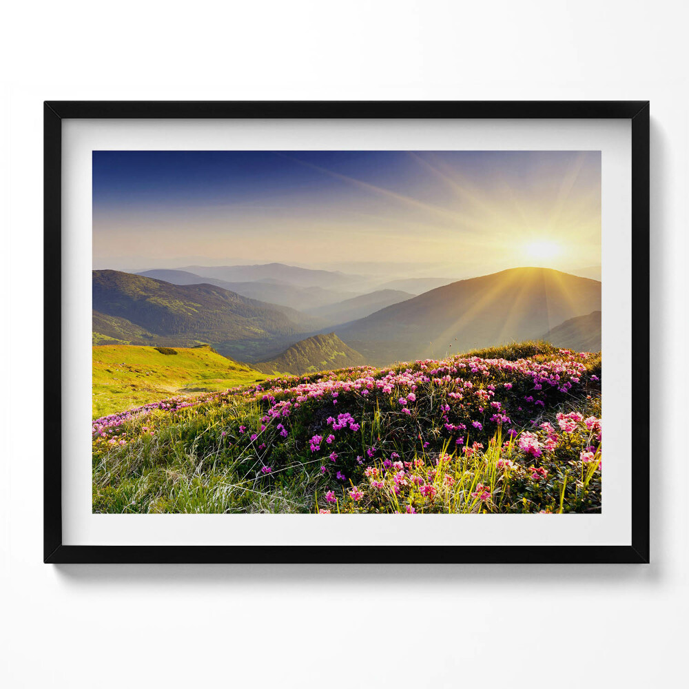 Tablou living cu rama Munți și o pajiște cu flori