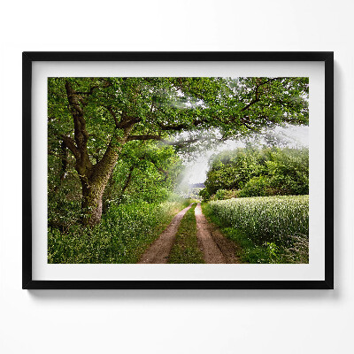 Tablou living cu rama Cale, copaci și raze de soare