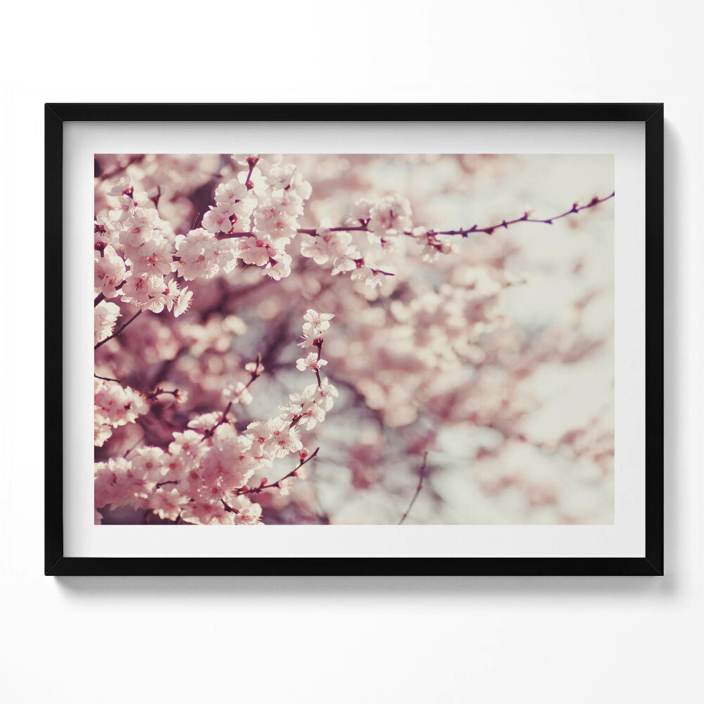 Tablou rama Flori de primăvară înflorite