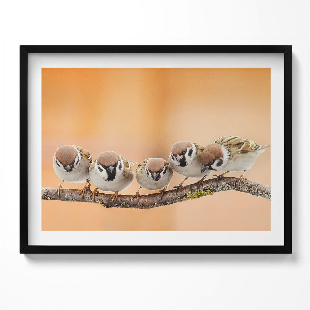 Tablou rama Păsări pe o ramură