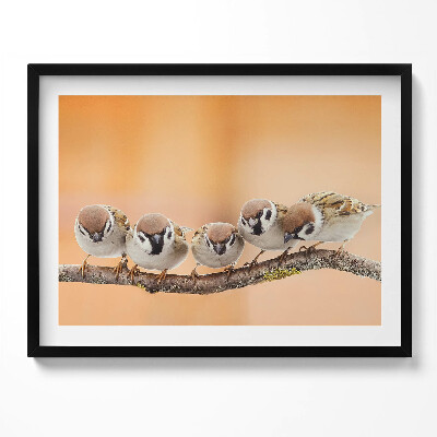 Tablou rama Păsări pe o ramură