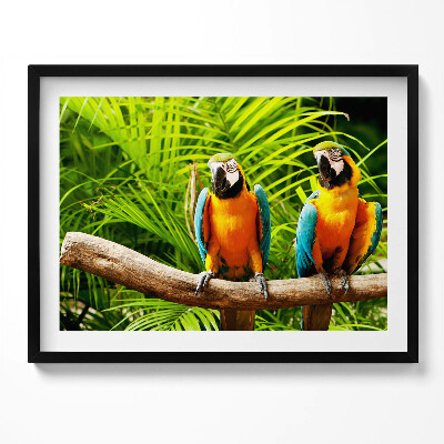 Tablou rama Doi papagali macaw colorați în junglă