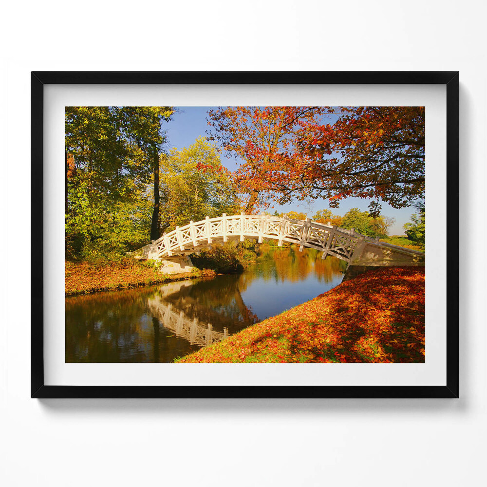 Tablou living cu rama Parcul Woerlitzer în Toamna Aurie