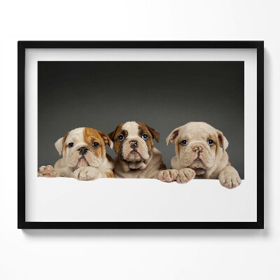 Tablou rama Trei căței de câine