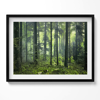 Tablou living cu rama Peisaj de copaci și vegetație forestieră